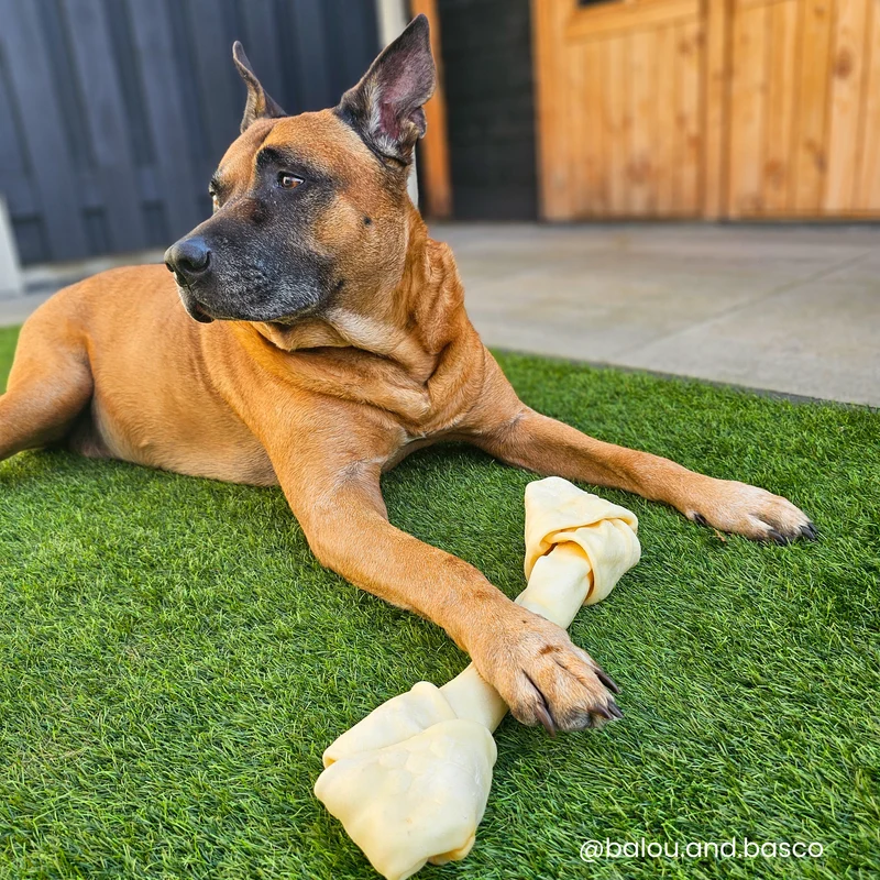 Os à mâcher pour chien