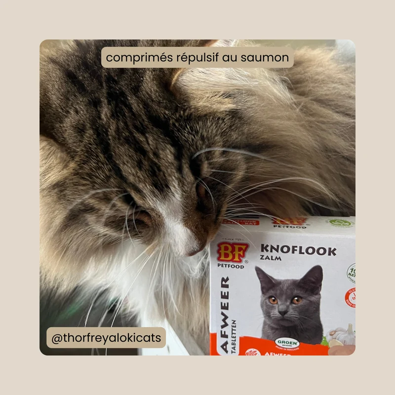 Comprimés répulsifs parasites au saumon pour chat