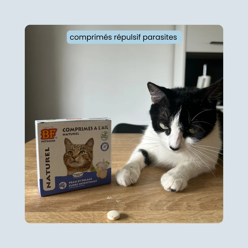 Comprimés répulsifs parasites pour chat