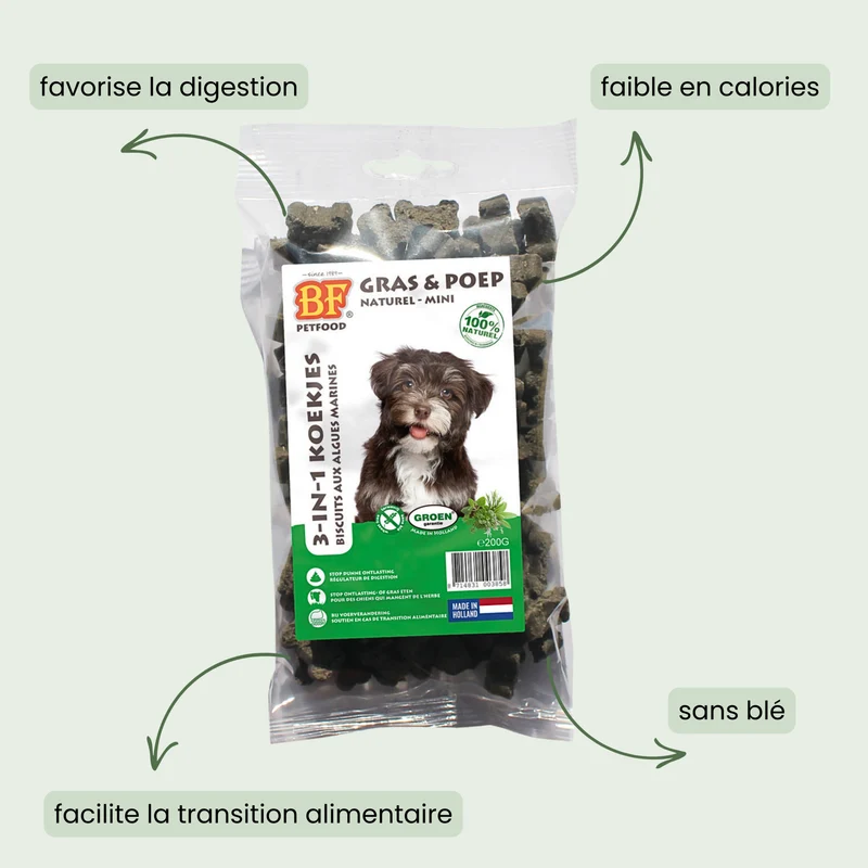 Biscuits aux algues digestion pour chien