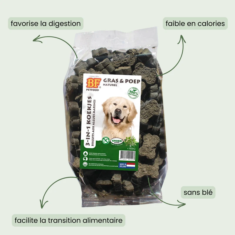 Biscuits aux algues digestion pour chien
