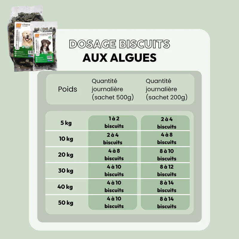 Biscuits aux algues digestion pour chien