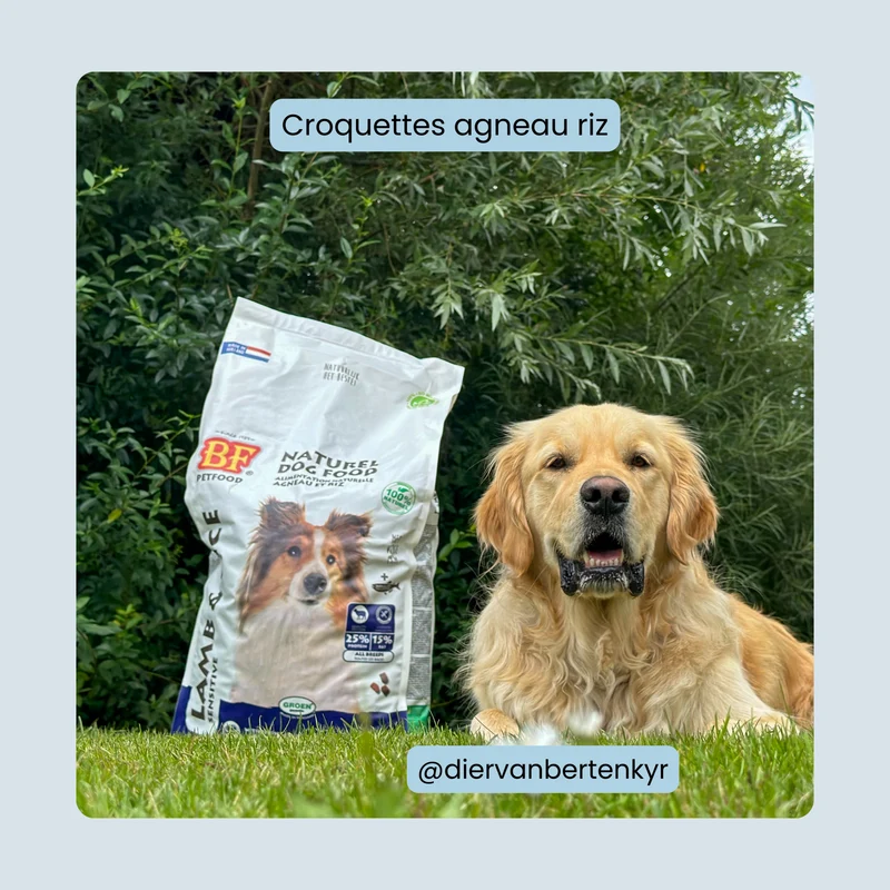 Croquettes Hypoallergénique pour chien Agneau Riz