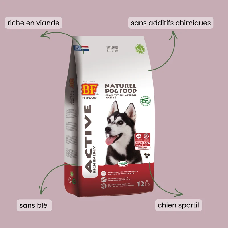 Croquettes pour chien sportif ou actif