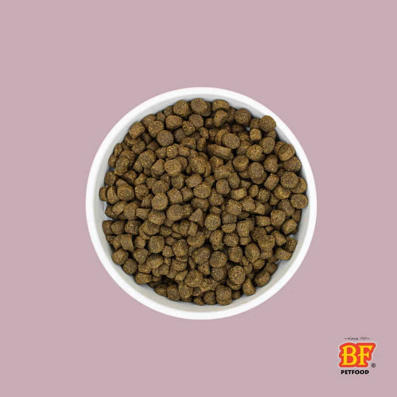 Croquettes pour chien sportif ou actif