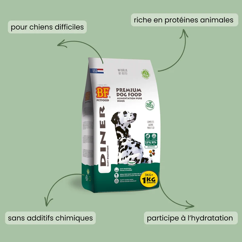 Croquettes Diner, une délicieuse soupe pour chien