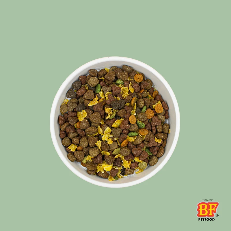 Croquettes Diner, une délicieuse soupe pour chien