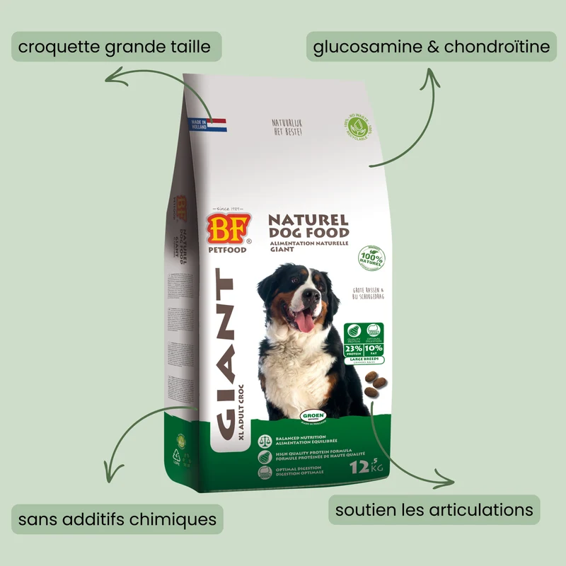 Giant, les croquettes pour grand chien