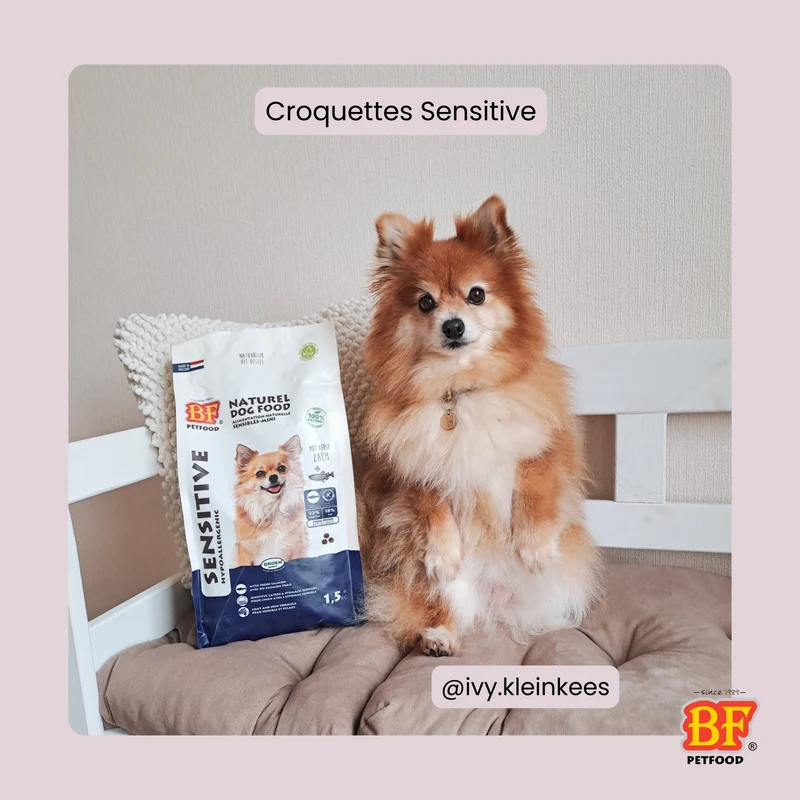 Croquettes Hypoallergénique au saumon sans céréales pour chien de petite taille