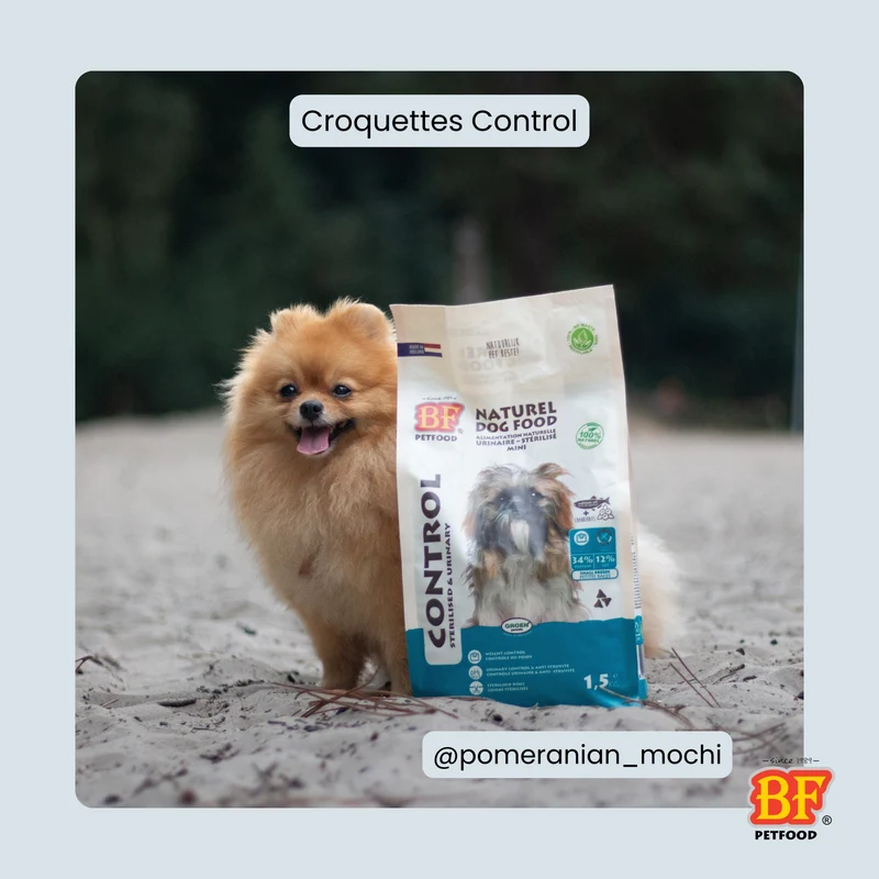 Croquettes pour chien de petite race stérilisé ou surpoids