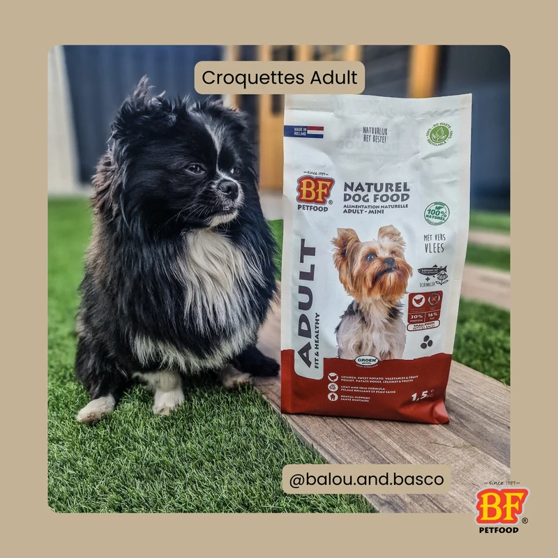 Croquettes au poulet sans céréales pour chien adulte de petite taille