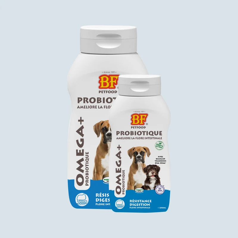 Probiotique Omega+ pour chien