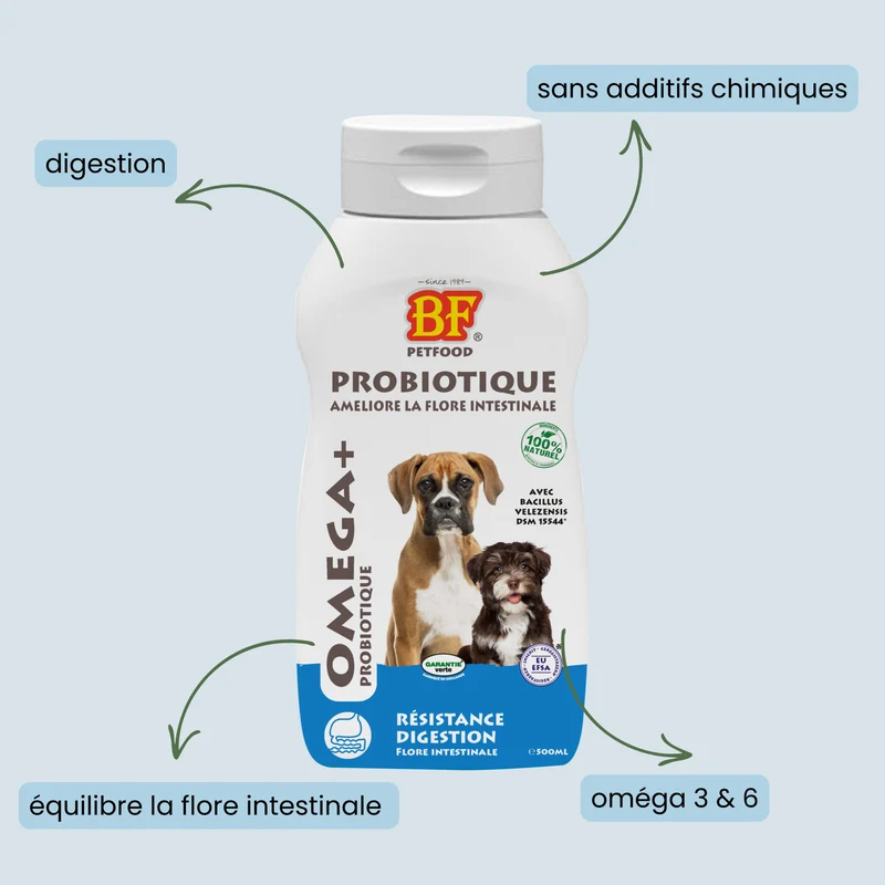Probiotique Omega+ pour chien
