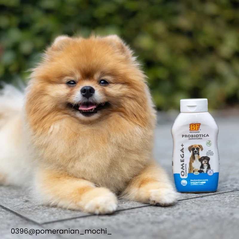 Probiotique Omega+ pour chien