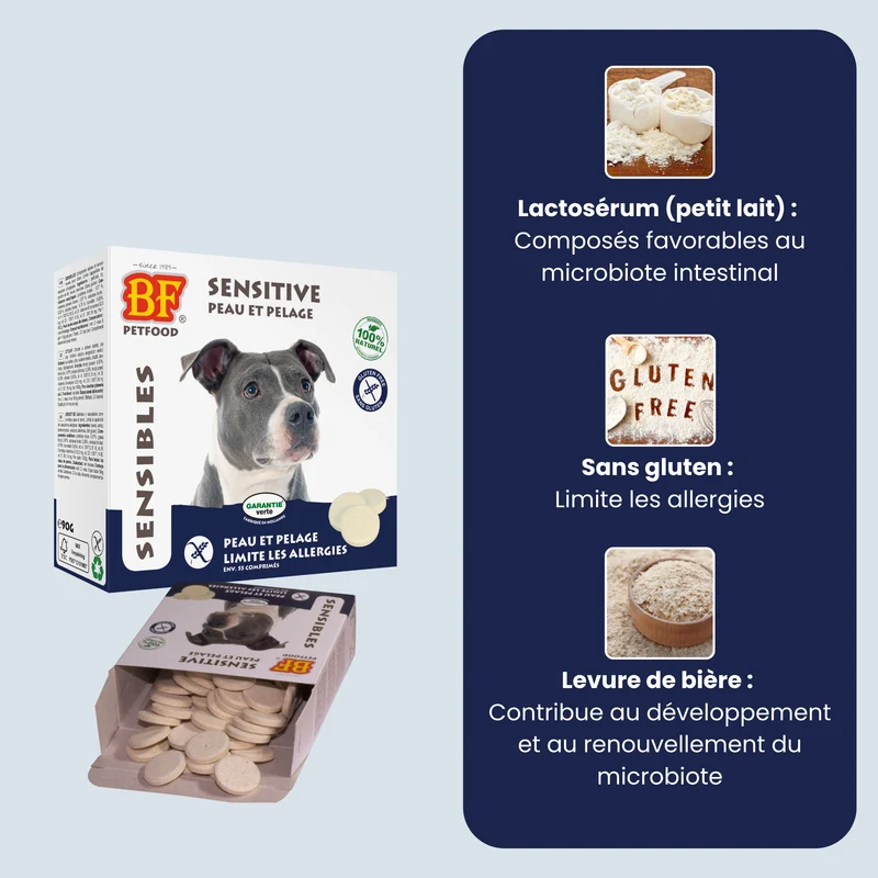 Comprimés peau et pelage démangeaisons pour chien