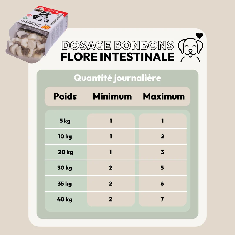 Bonbons flore intestinale pour chien