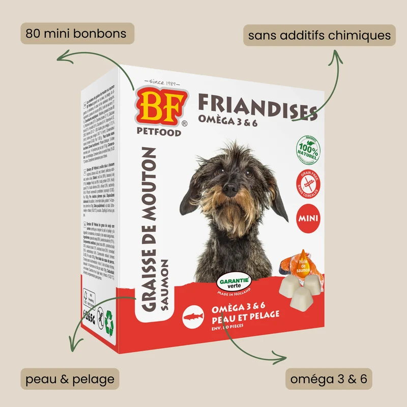 Bonbons au saumon peau et pelage pour chien