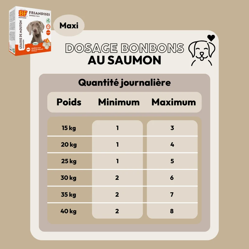 Bonbons au saumon peau et pelage pour chien