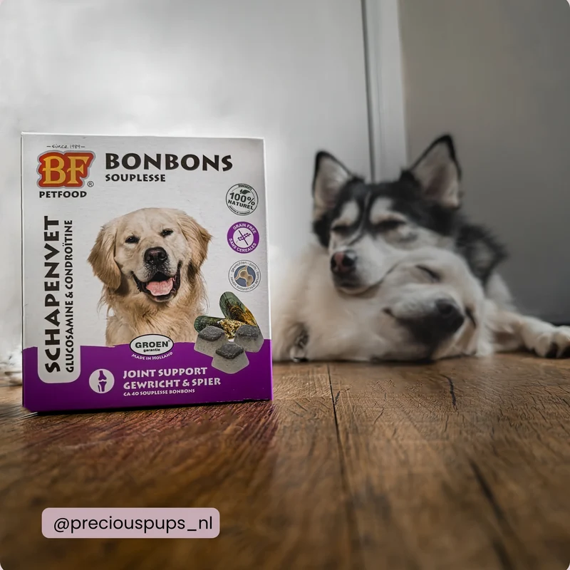 Bonbons Souplesse Mobilité pour chien