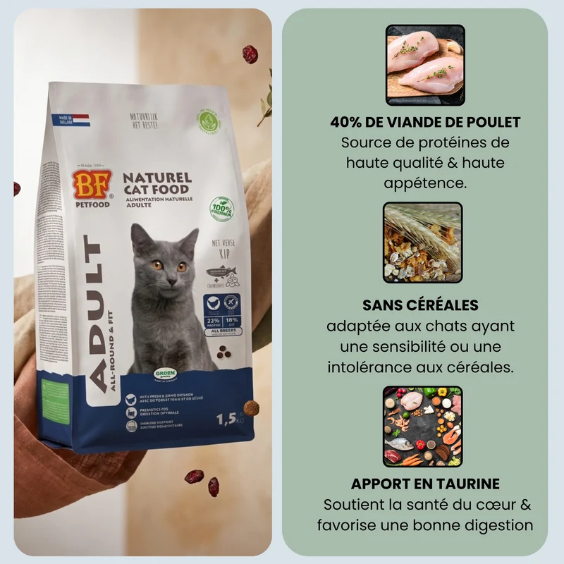 Croquettes au poulet et sans céréales pour chat