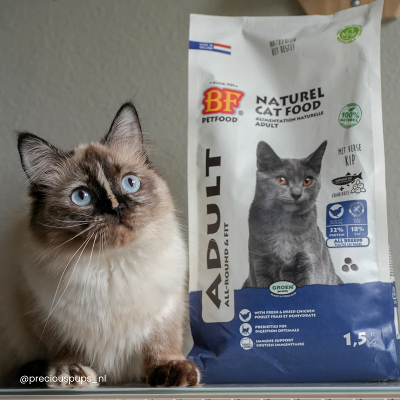Croquettes au poulet et sans céréales pour chat
