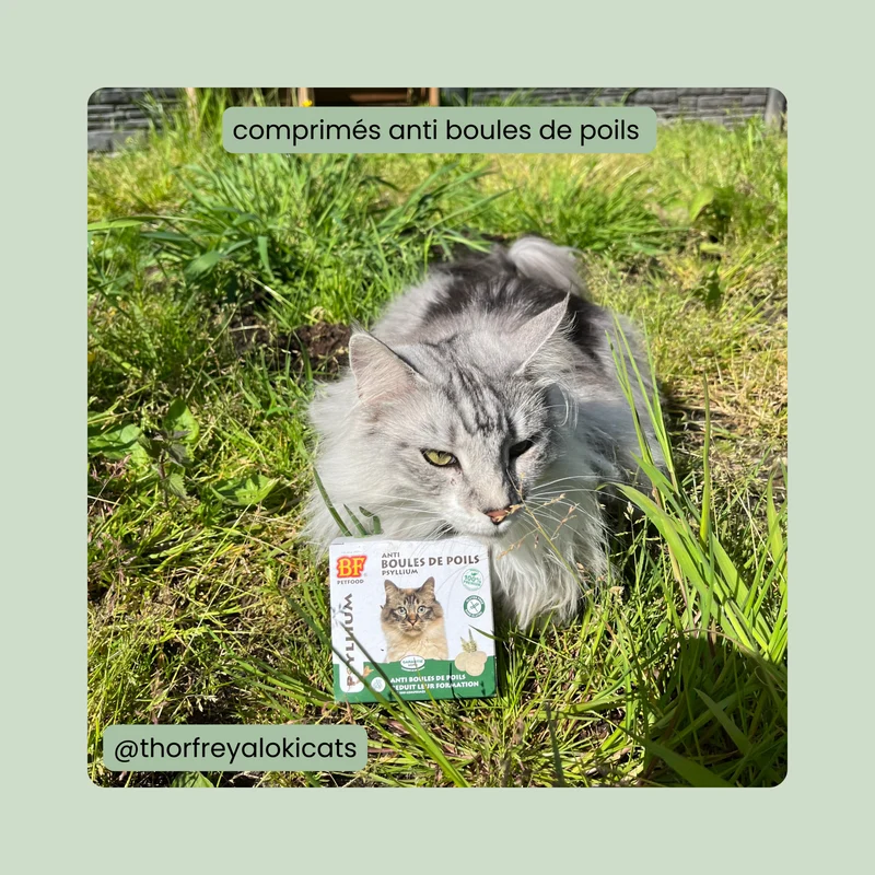 Comprimés anti boules de poils pour chat