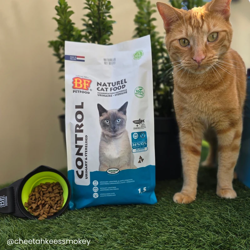 Croquettes pour chat stérilisé ou surpoids