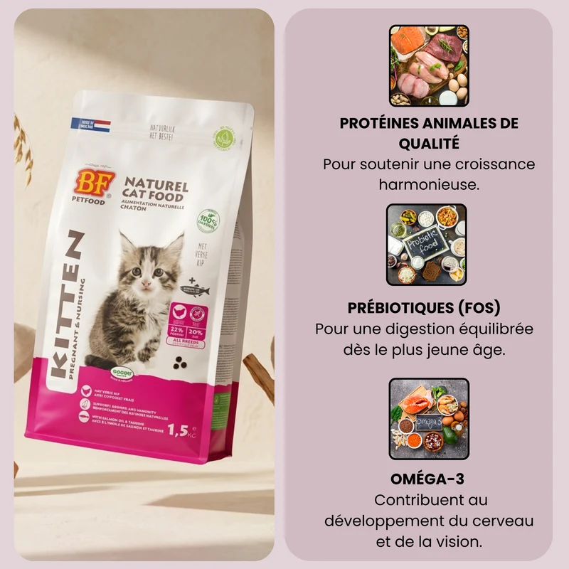 Croquettes sans céréales pour chaton