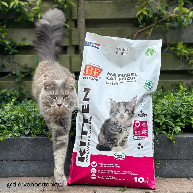 Croquettes sans céréales pour chaton