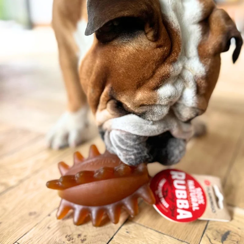 Ballon Rugby - jouet chien indestructible