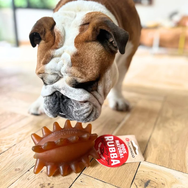 Ballon Rugby - jouet chien indestructible