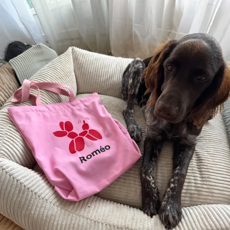Tote bag A PET STORE – Sac en toile zippé rose avec poche intérieure