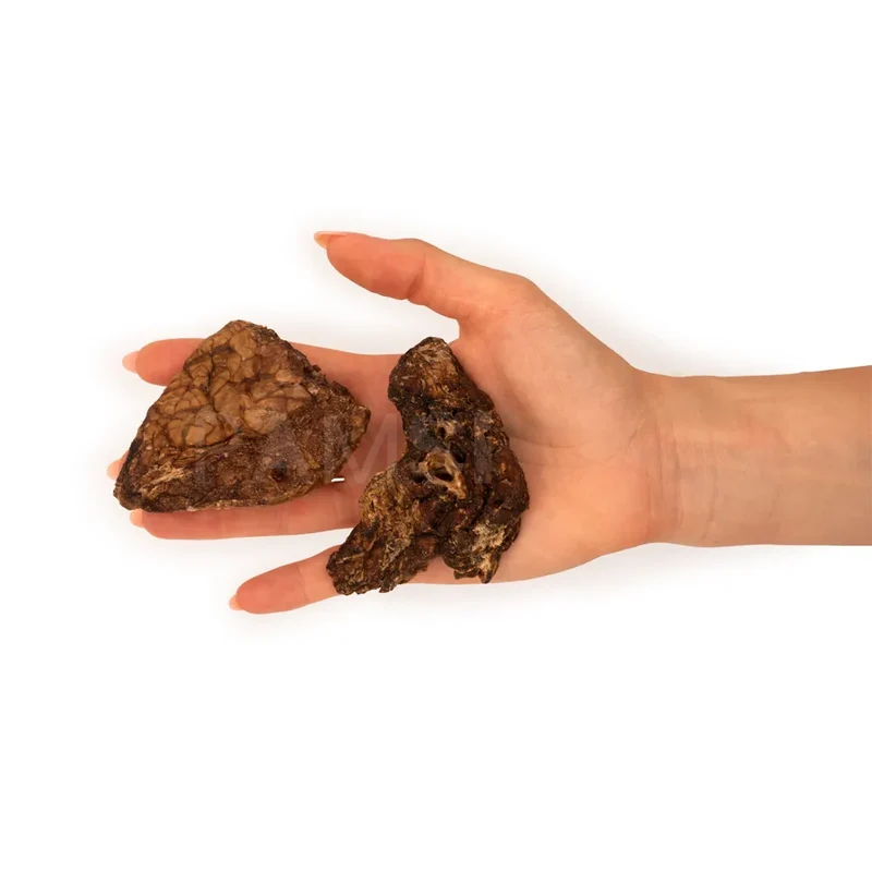 Maxi bouchées de poumon de bœuf pour chien