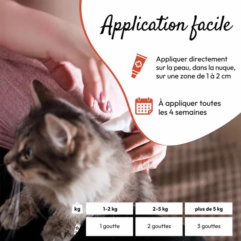 PHA SpotOn – Pipettes antiparasitaires naturelles pour chat