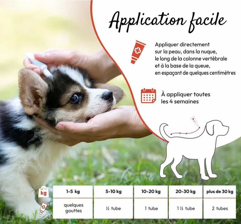 PHA SpotOn – Pipettes antiparasitaires naturelles pour chien – 2 x 2 mL