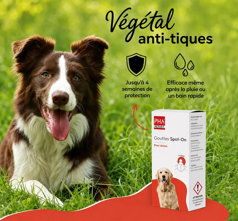 PHA SpotOn – Pipettes antiparasitaires naturelles pour chien – 2 x 2 mL