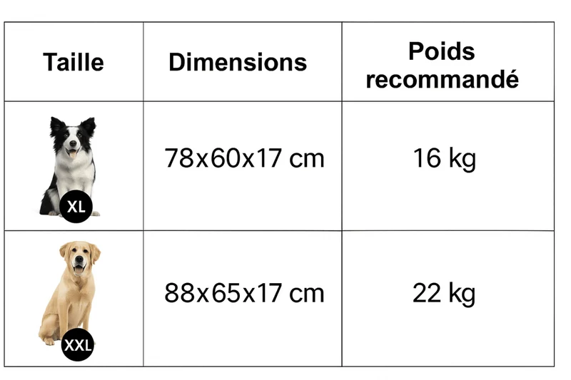 Panier Orthopédique XXL Mémoire Forme Gros Chien