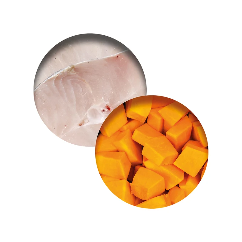 Repas de poisson Catit avec poisson blanc et citrouille, 80 g (2,8 oz)