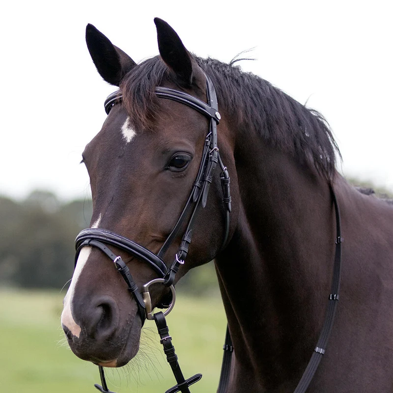 BRIDON LUXE | QHP