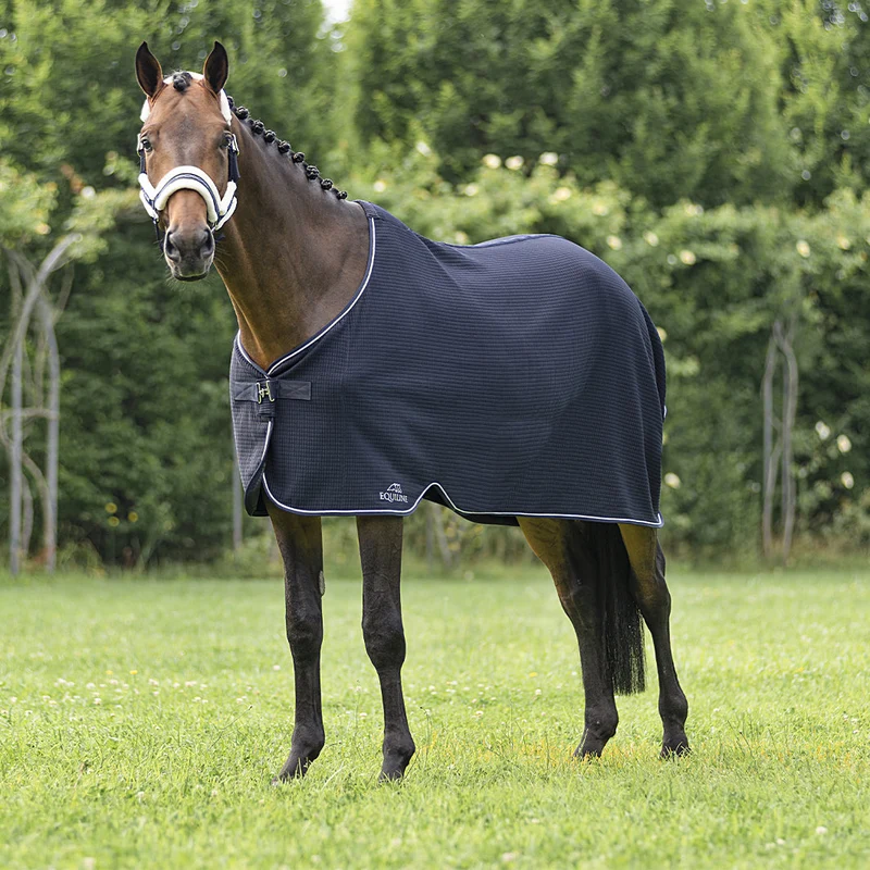 COUVERTURE D'ECURIE CLIMATE CONTROL | EQUILINE