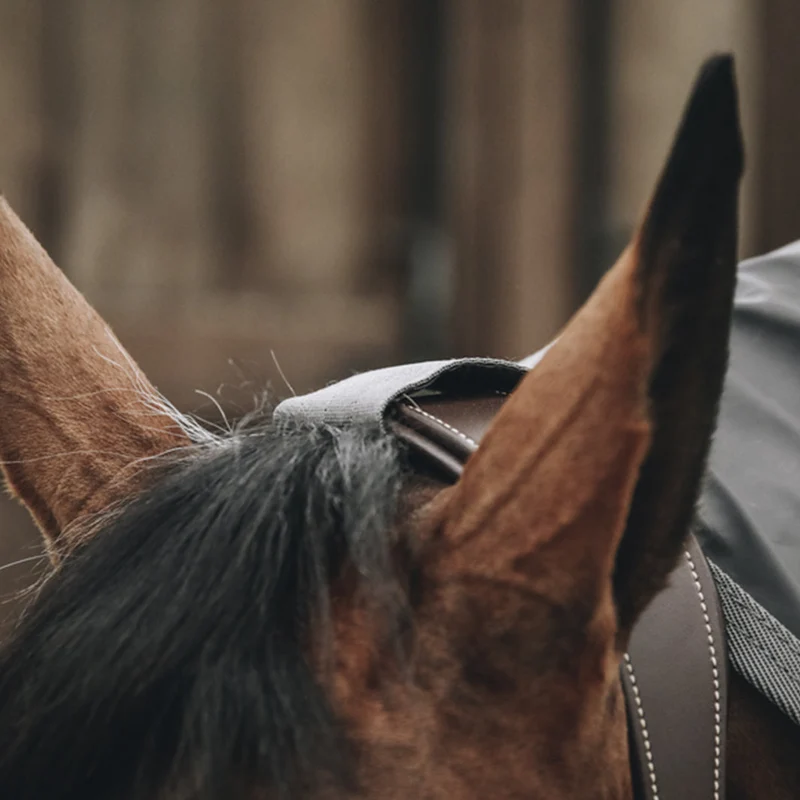 MANTEAU IMPERMÉABLE POUR CHEVAUX HURRICANE | KENTUCKY