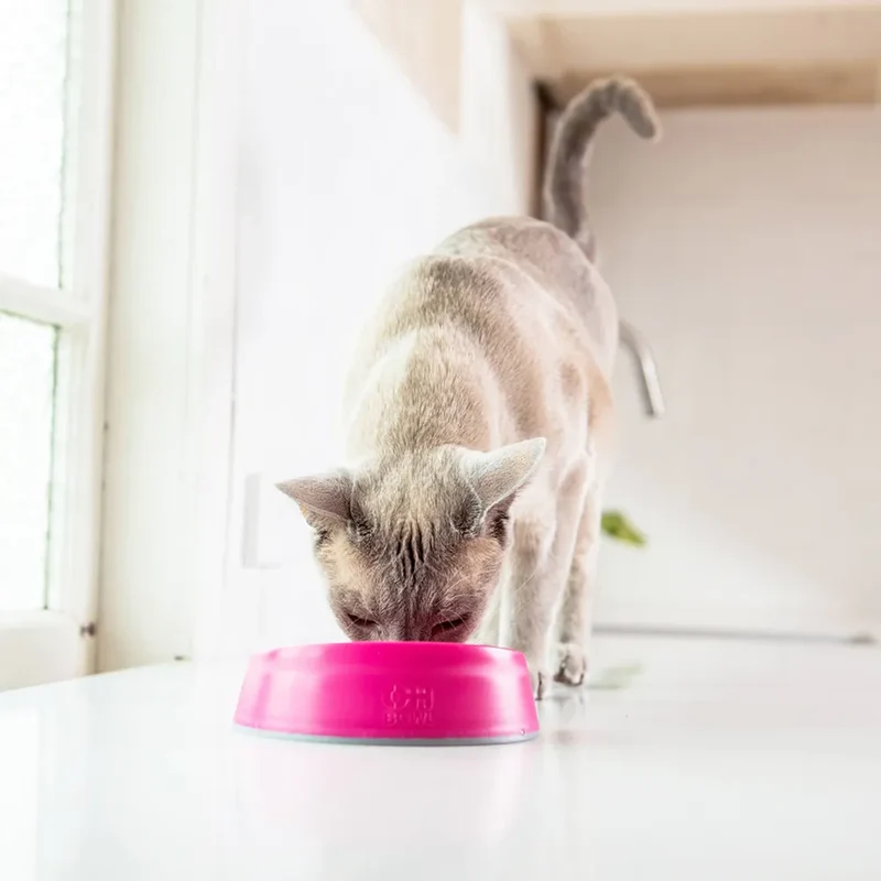 Lickimat OH Bowl – Gamelle à lécher pour chat