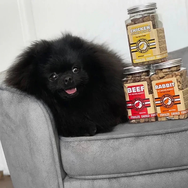 Friandises de travail pour chien & chat – Poulet, épinard & citrouille – Kiwi Walker – 100g
