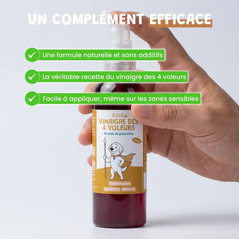 Vinaigre des 4 voleurs