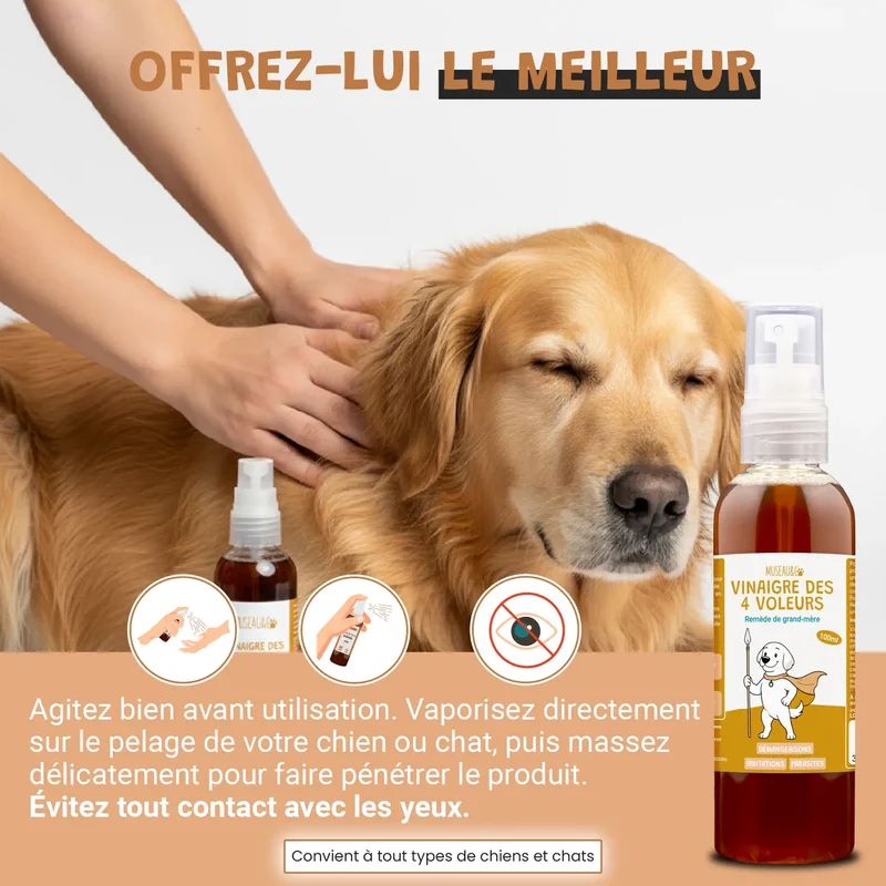 Vinaigre des 4 voleurs