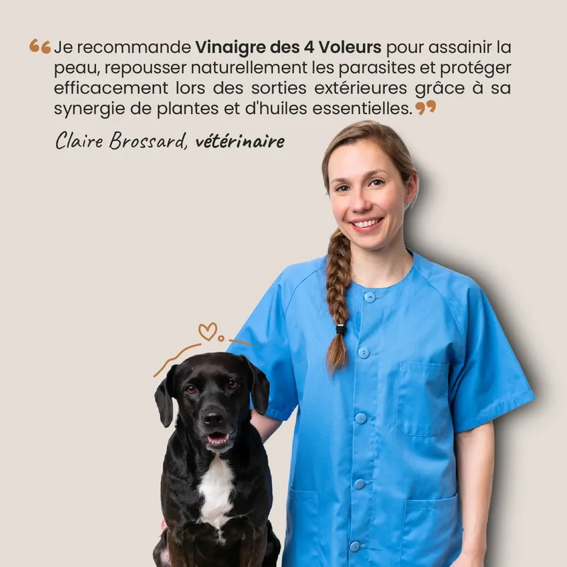 Vinaigre des 4 voleurs