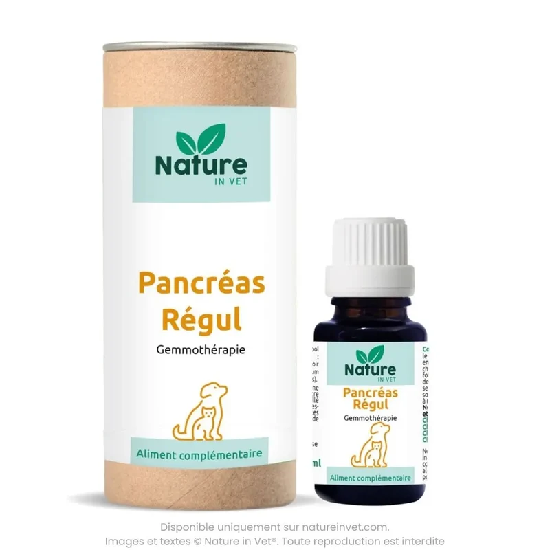 PANCREAS-REGUL