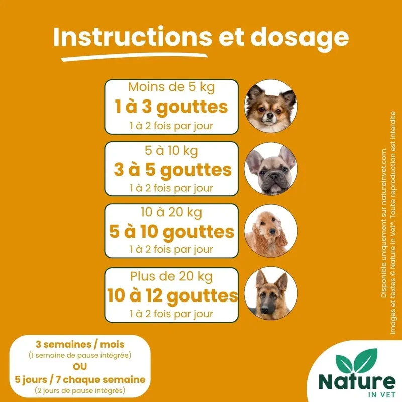 PANCREAS-REGUL