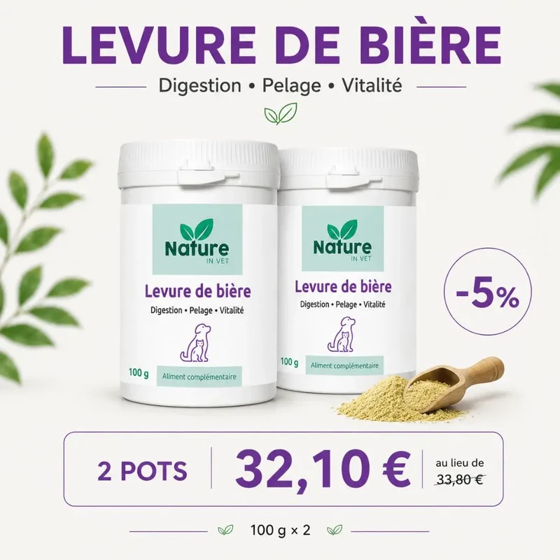 LEVURE DE BIÈRE