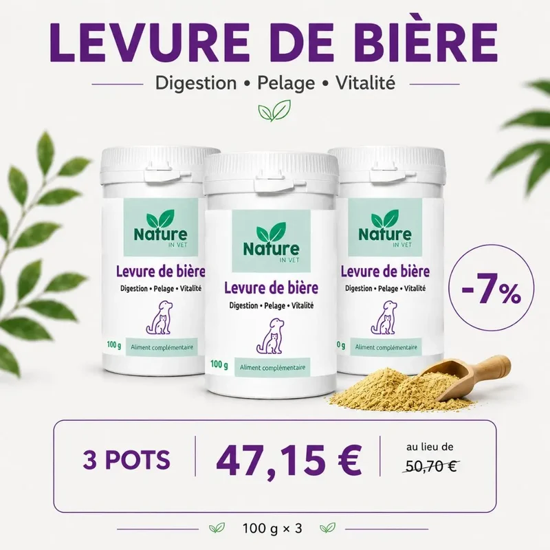 LEVURE DE BIÈRE